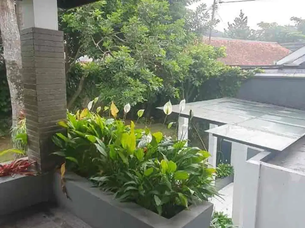 Disewakan Rumah Cigadung 3 Lantai
