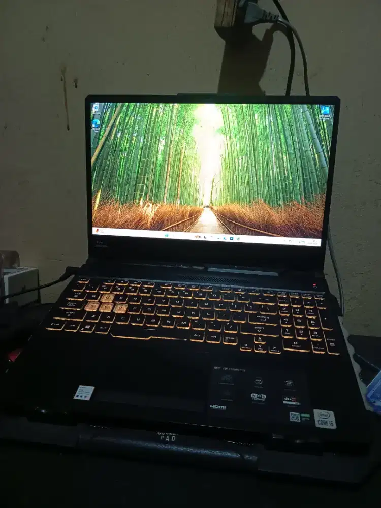 Asus TUF F15 FX506LH