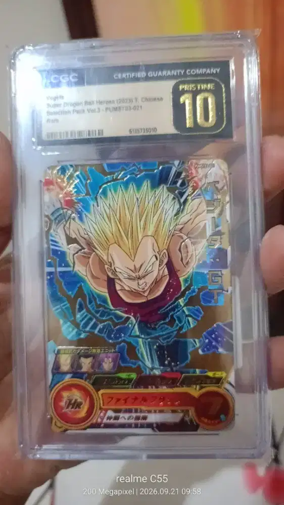 Cgc dragonball perfect 10