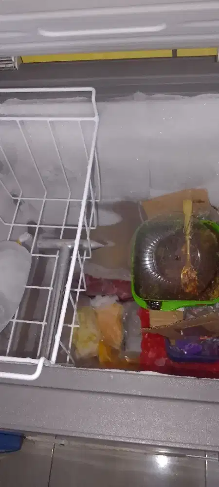 Freezer Changhong