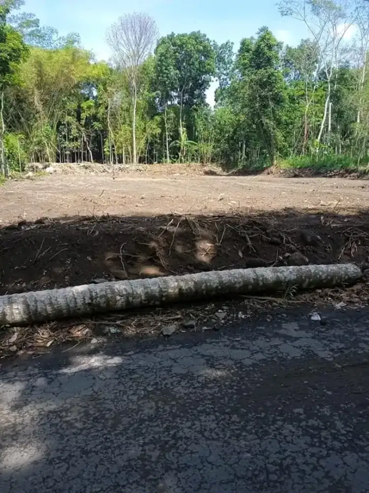 Dijual murah tanah SHM tegal di manisrenggo Klaten cocok di kavling