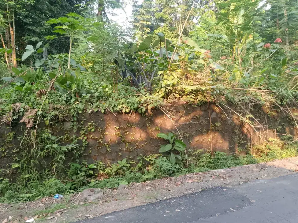 Dijual murah tanah pinggir jalan di kepurun manisrenggo Klaten