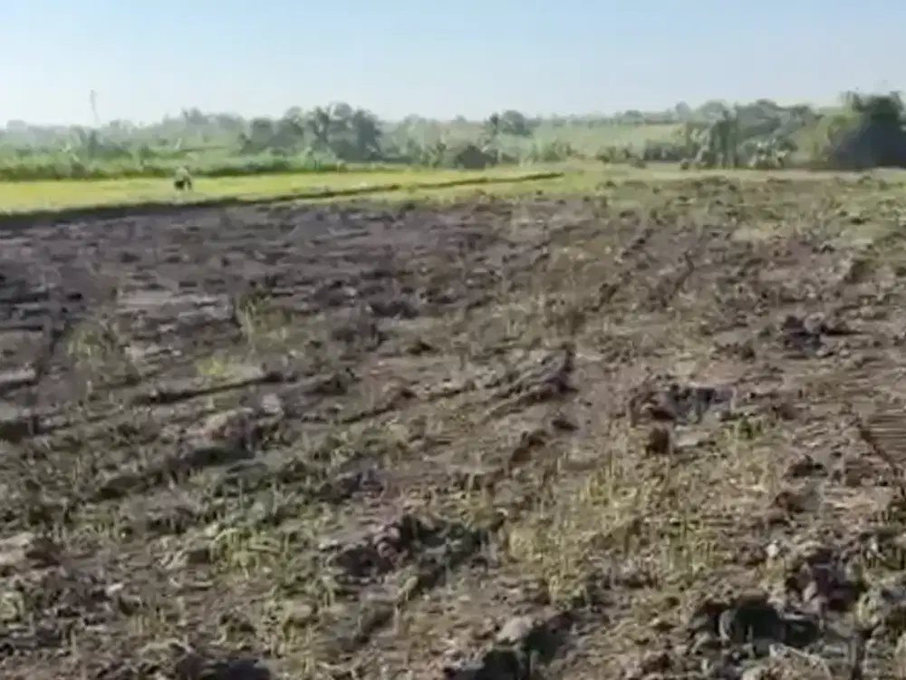 Land for sale in Kerambitan, Bali