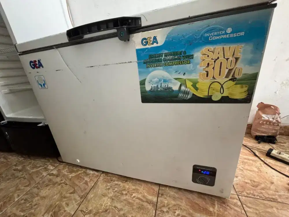Frezeer Box GEA 300LT