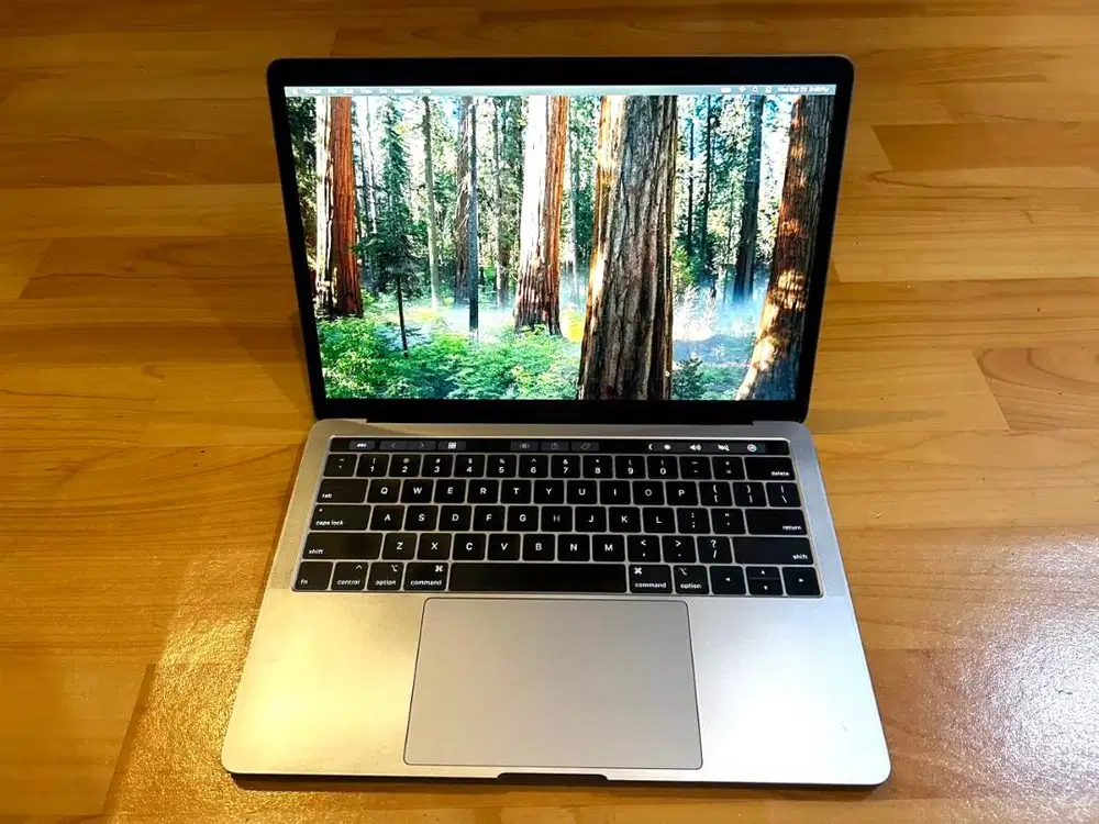 Macbook Pro 13 Inch 2018 Touch Bar (16 GB - 512 SSD)