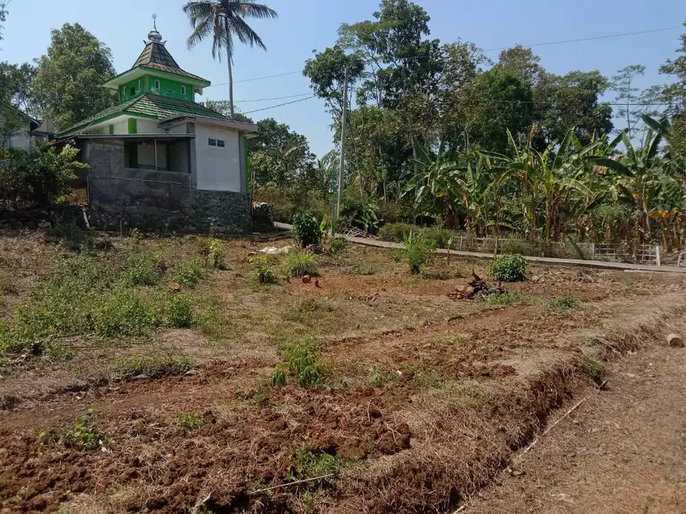 DIJUAL CEPAT!!! TANAH SHM DI SEKITAR KOTA SALATIGA