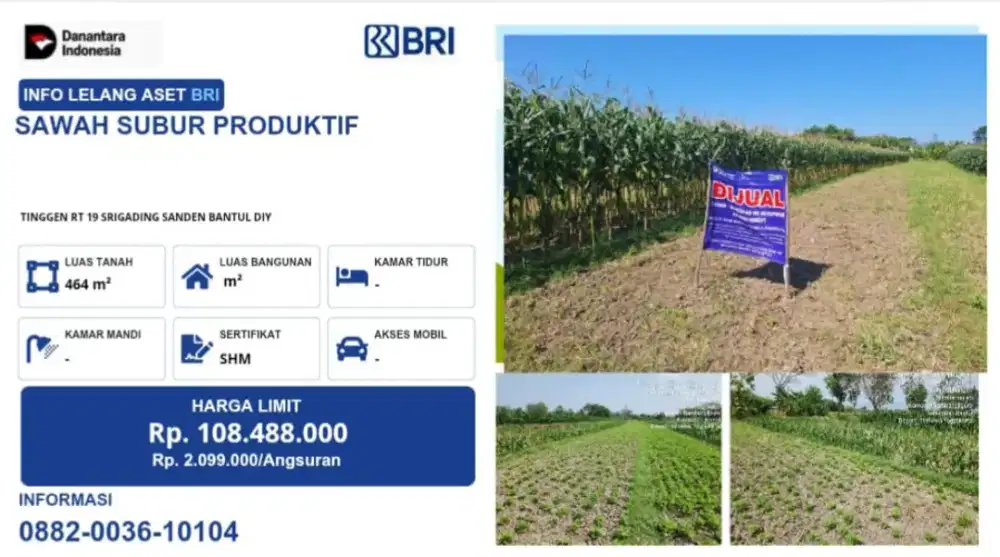 DIJUAL SAWAH SUBUR PRODUKTIF