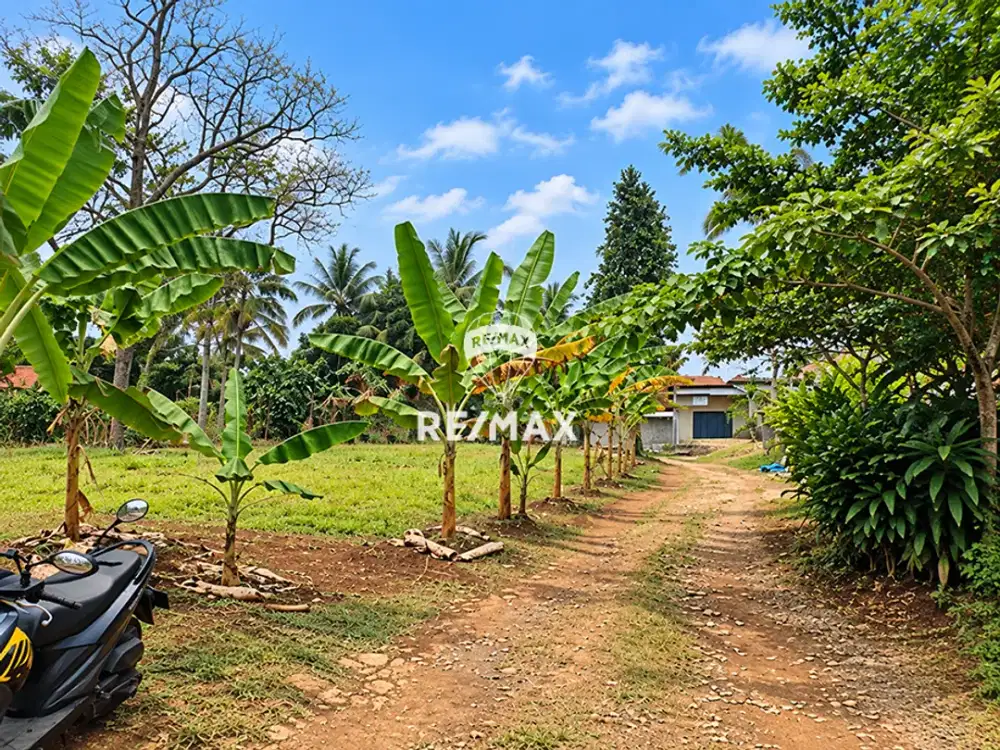 DIJUAL TANAH LUAS DI PARUNG BOGOR JAWA BARAT