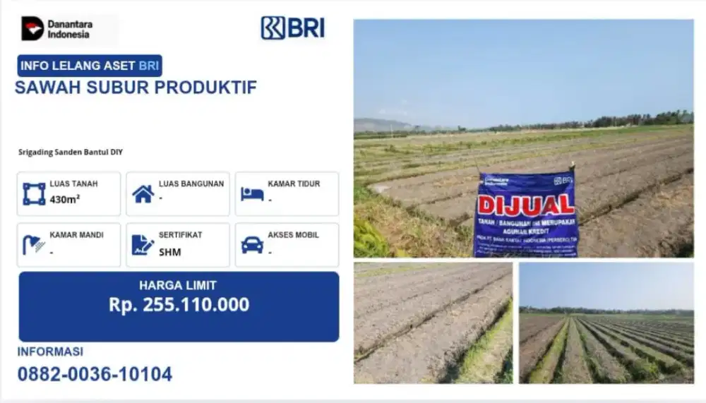 JUAL PEKARANGAN SAWAH SUBUR PRODUKTIF