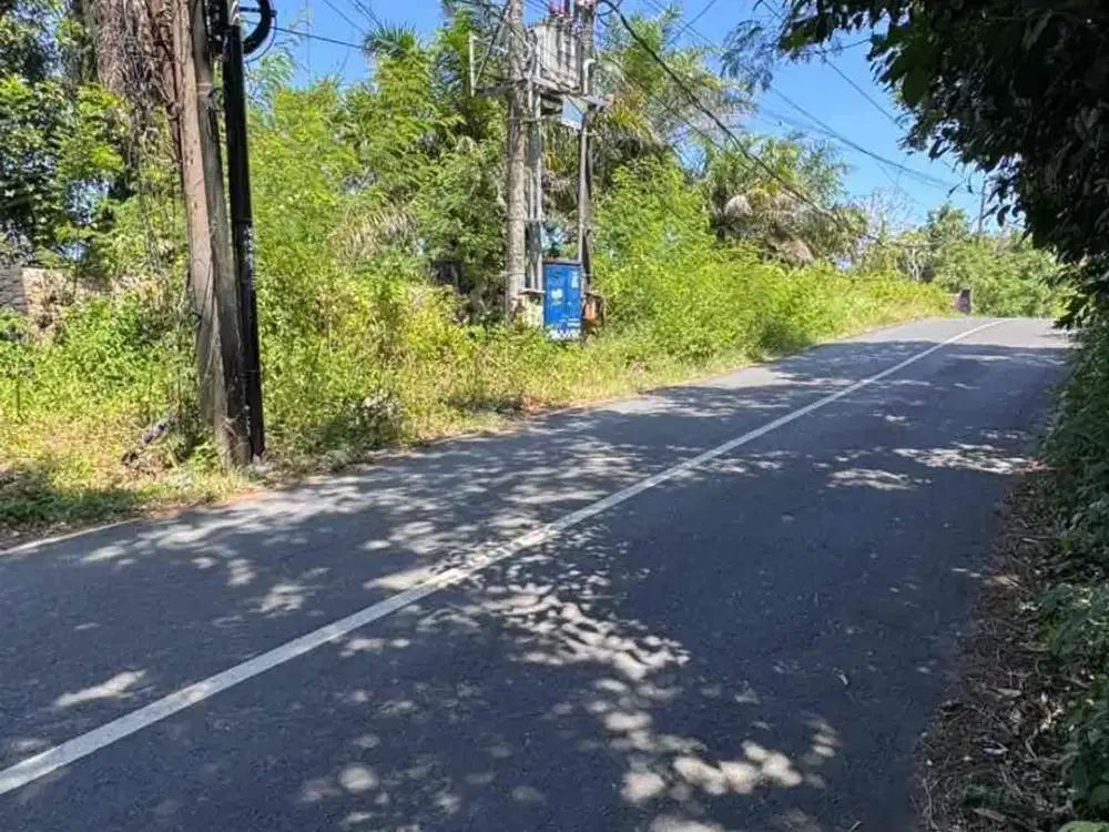TANAH BONUS BANGUNAN - 1 Hektar di Jln Utama Belimbing Sari Pecatu