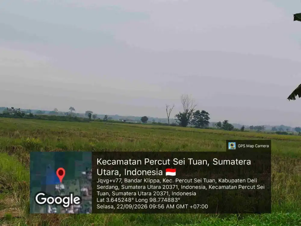 DIJUAL SAWAH PRODUKTIF – DESA KOLAM, PERCUT SEI TUAN