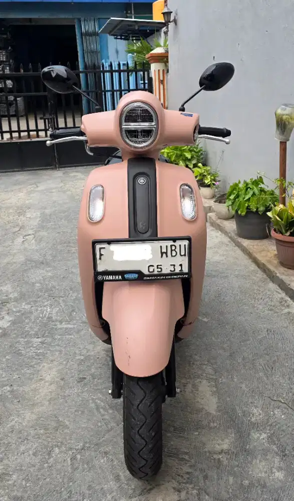 Fazzio Hybrid Neo 2026
