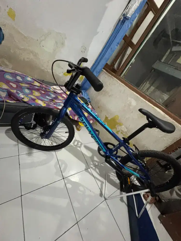 Polygon Rogue Warna Biru