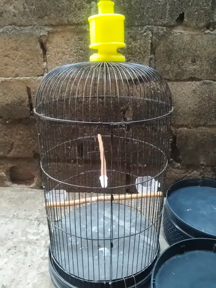 Kandang burung LB