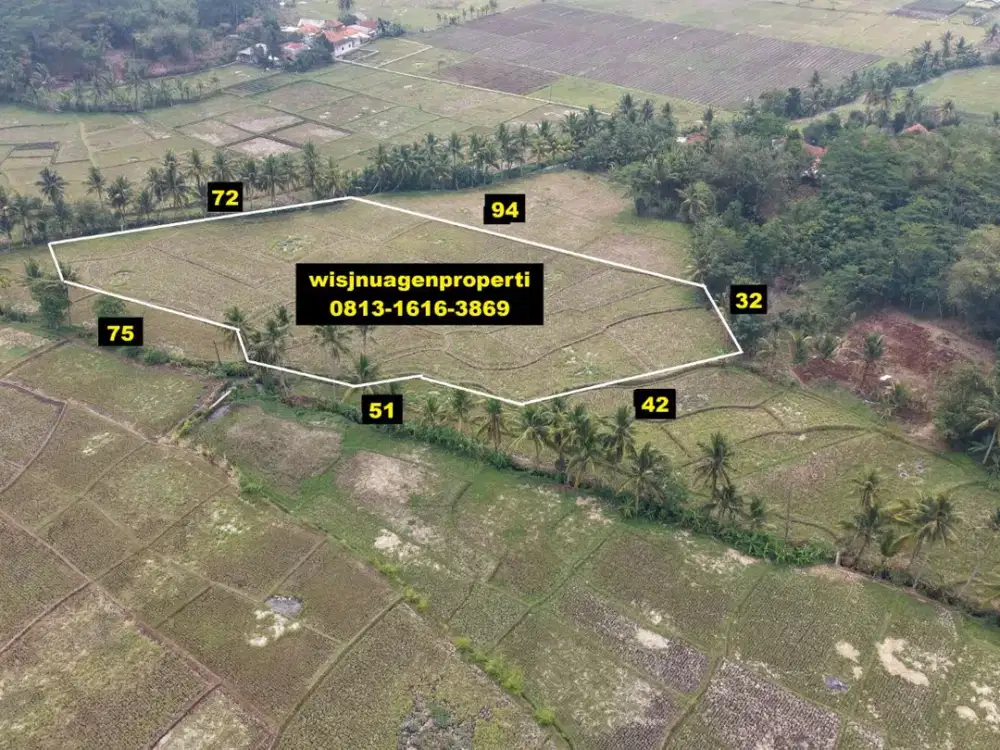 Sawah Produktif Murah di Sukaluyu Cianjur dekat SMPN 1 Sukaluyu