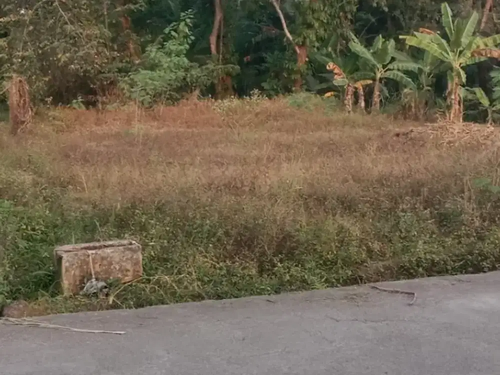 Tanah premium murah dekat kampus UII di jual cepat