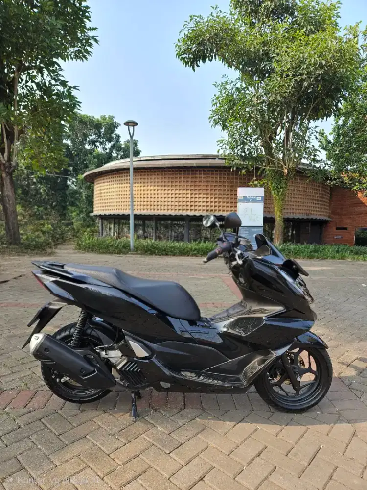 Honda Pcx CBS 2024 Antik