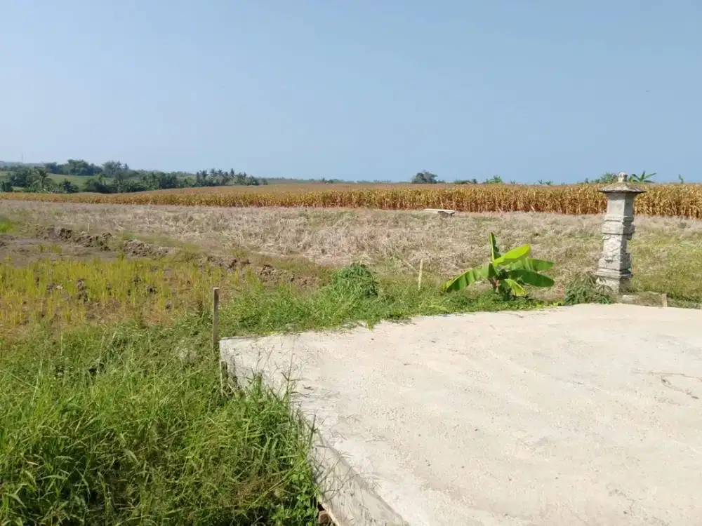 Dijual Lahan dengan View Sawah Laut Pegunungan