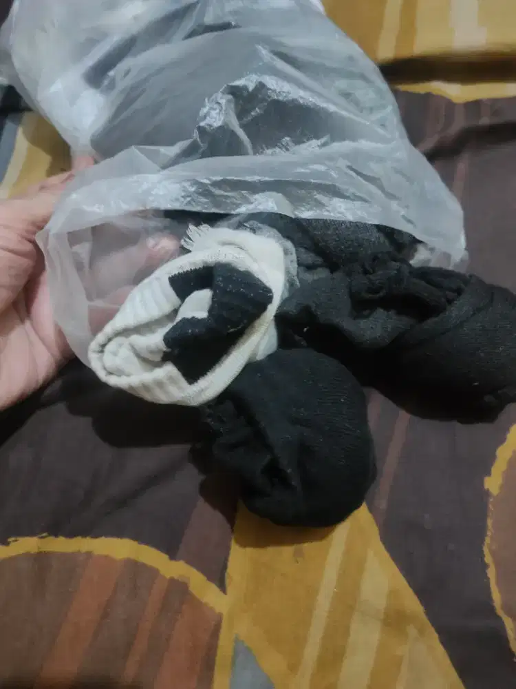 10 pasang kaos kaki pendek