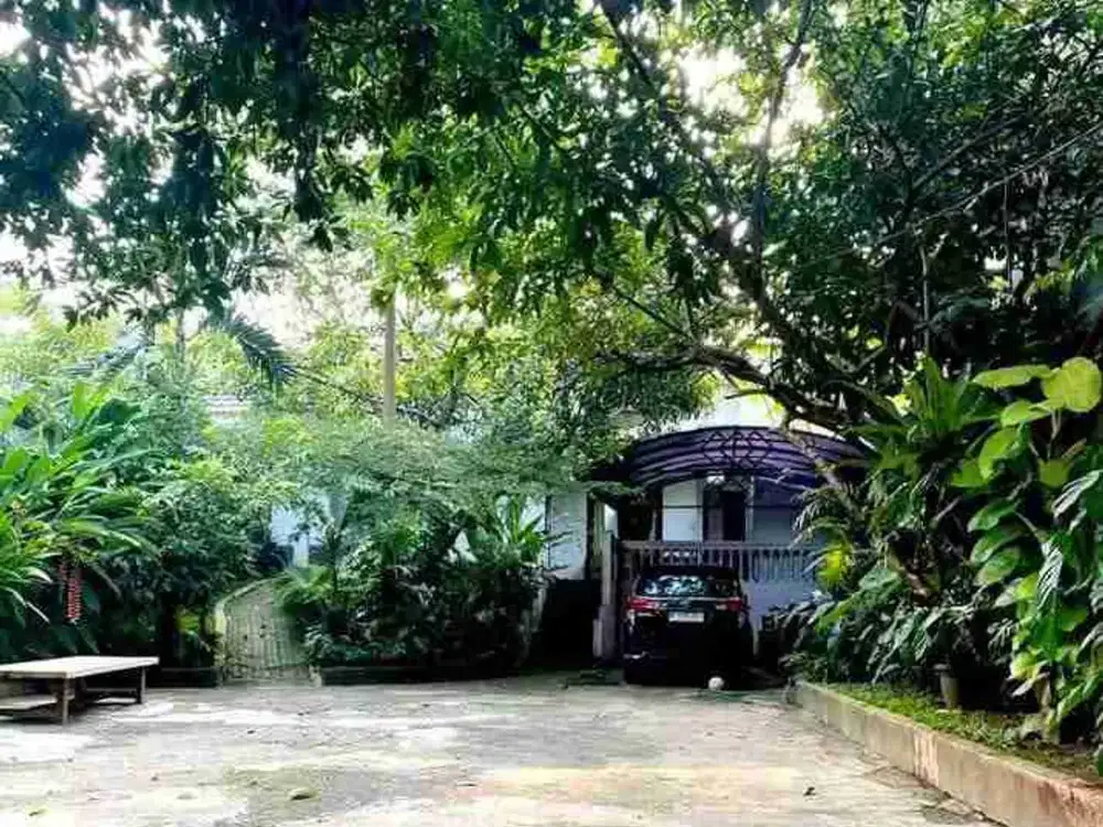 Dijual Rumah sangat luas dan asri di jagakarsa jakarta