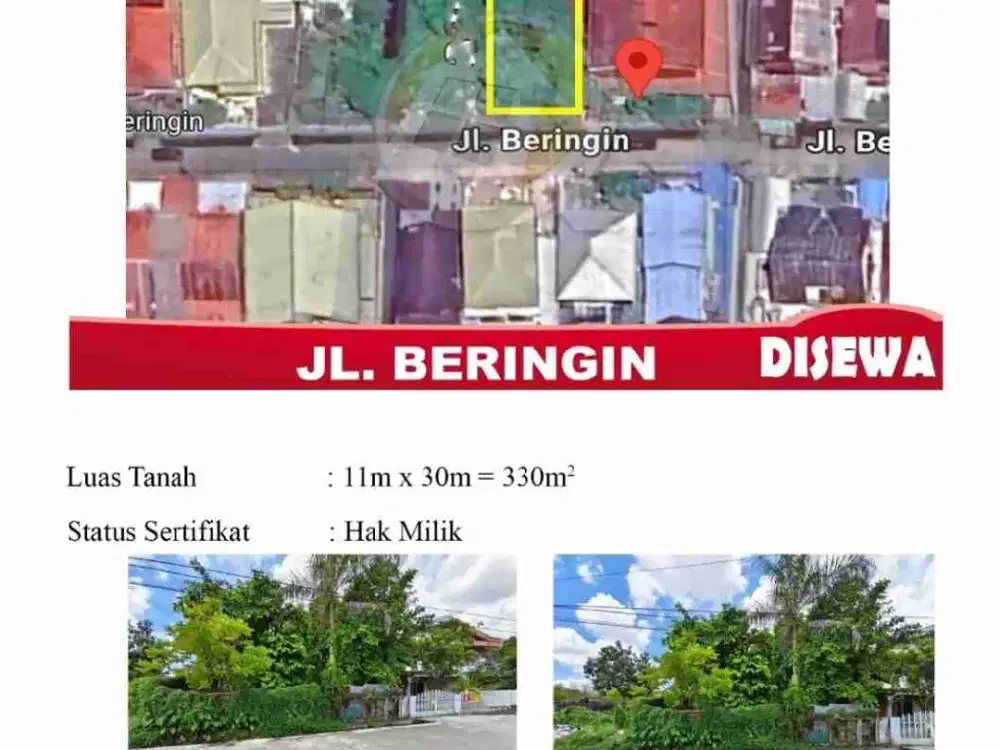 Tanah Beringin