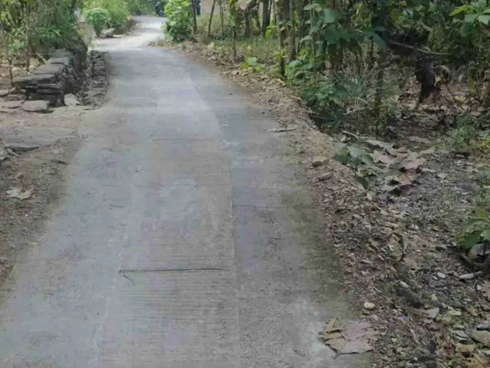 Tanah Murah  dekat kawasan industri Sentolo