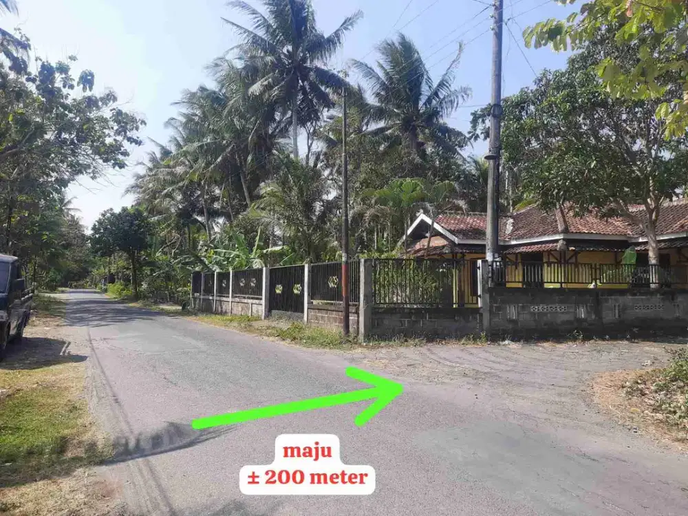 Tanah Murah di Krembangan Panjatan Kulon Progo