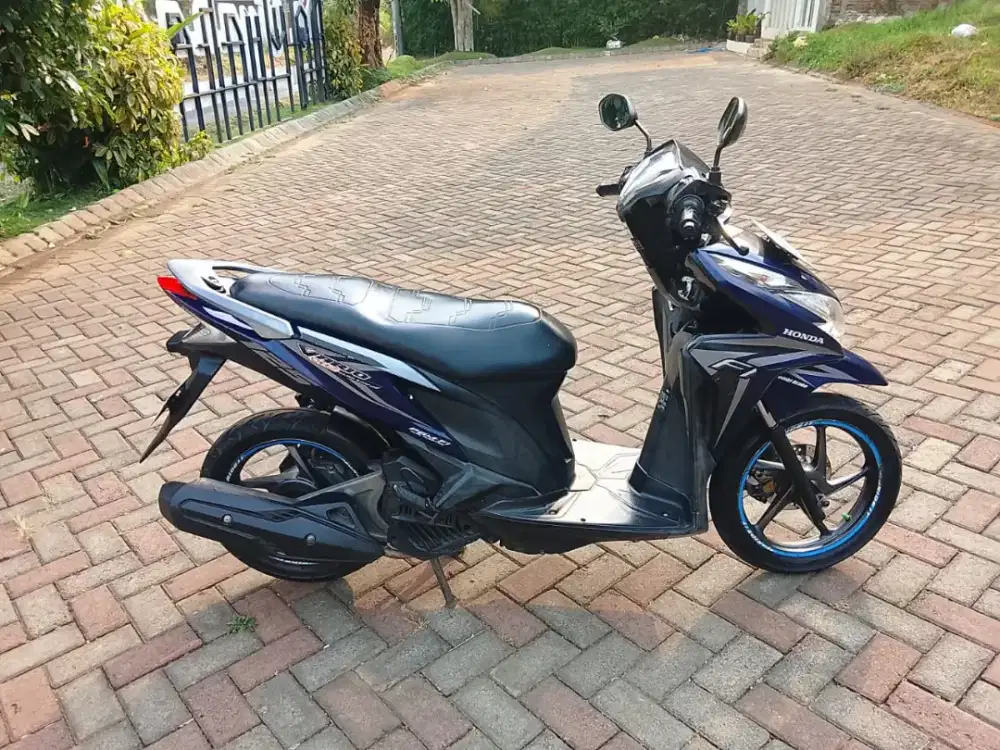 vario Kzr 2013 iss