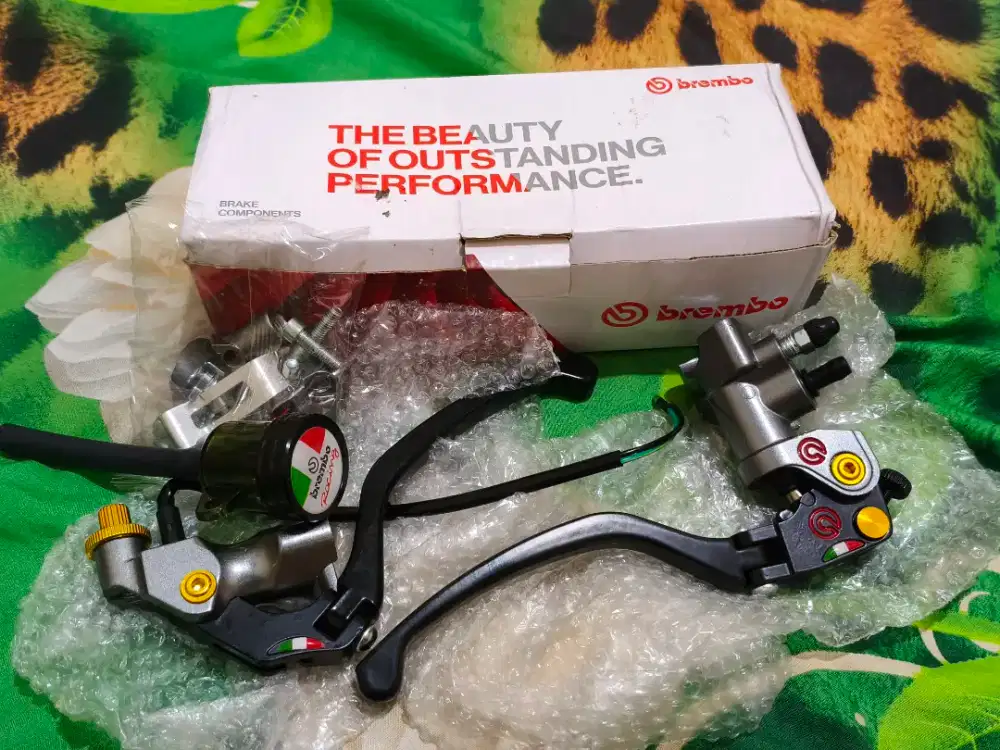 Master rem brembo