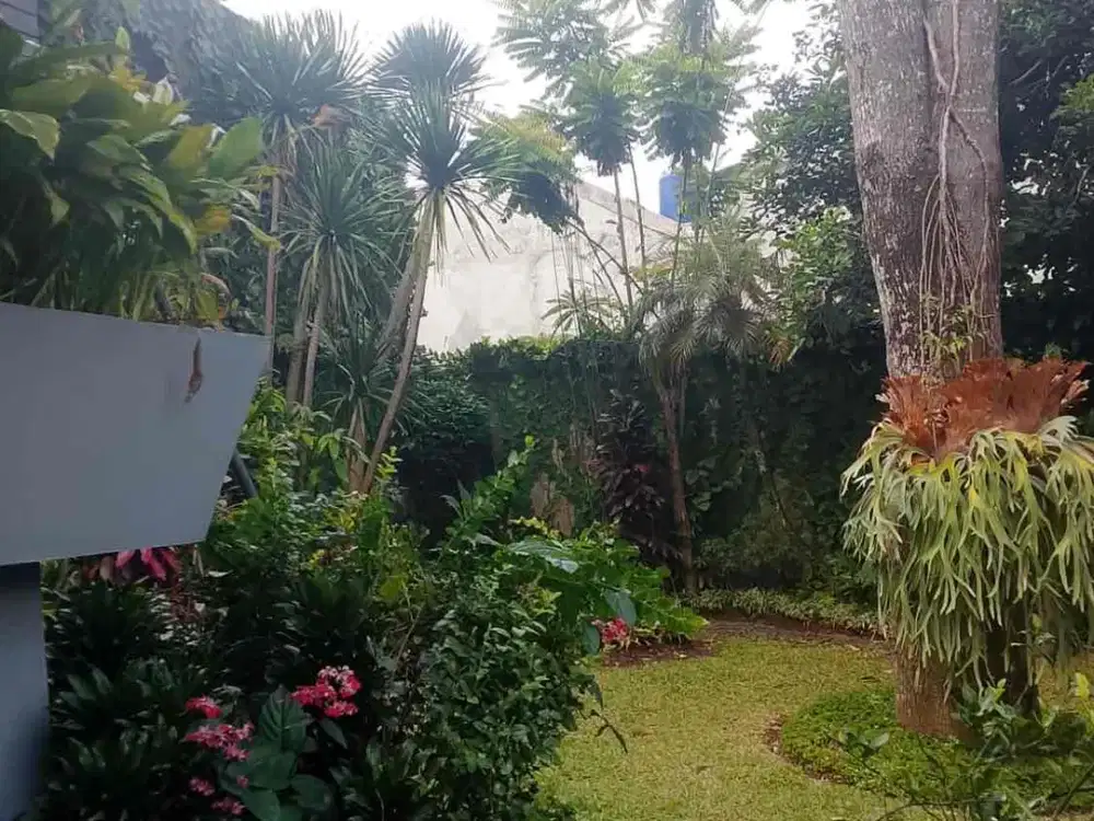 Disewakan Rumah Cigadung 3 Lantai