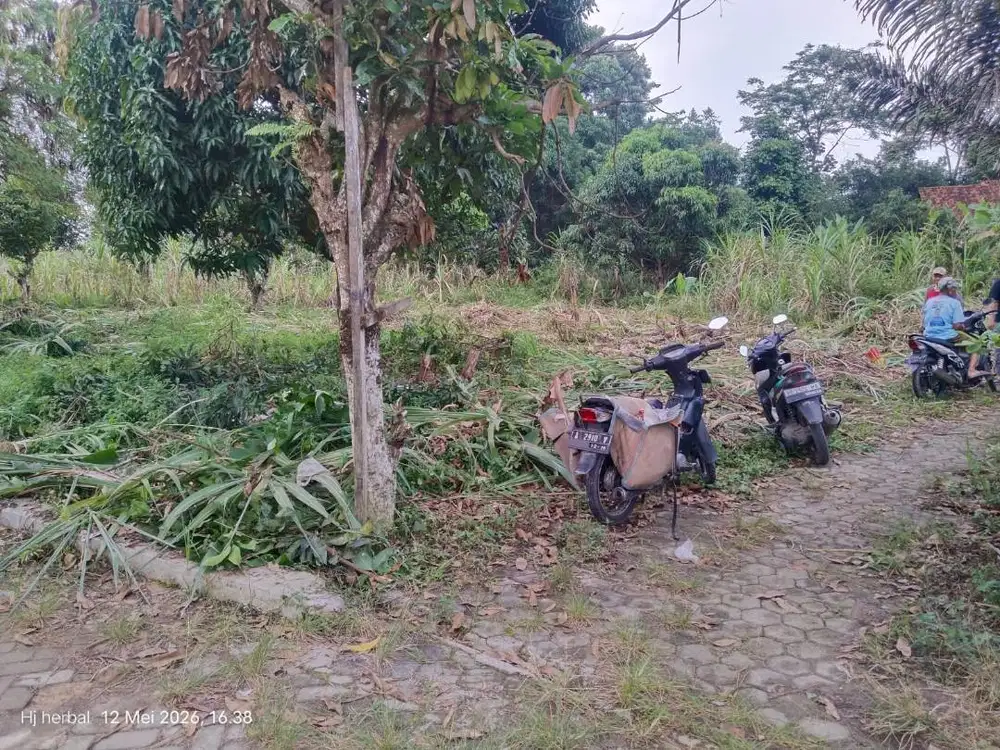 TANAH KAVLING SYARIAH SABAH BALAU LAND