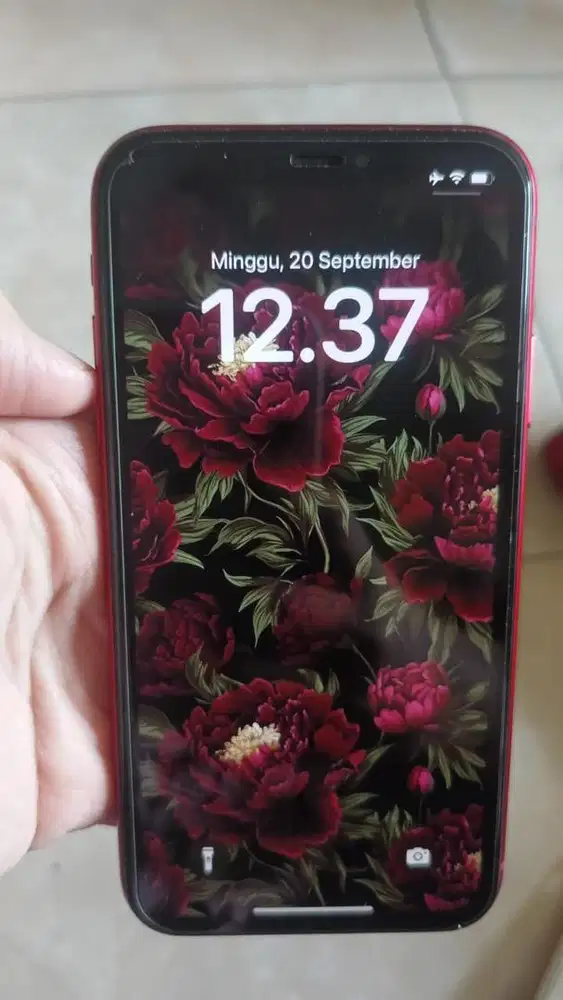 Iphone XR 256GB