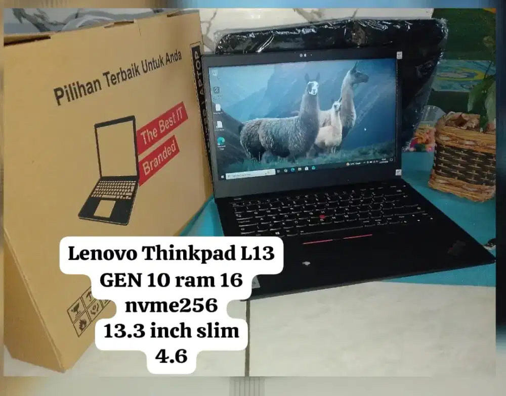 Lenovo Thinkpad L13 GEN 10 ram 16 nvme256