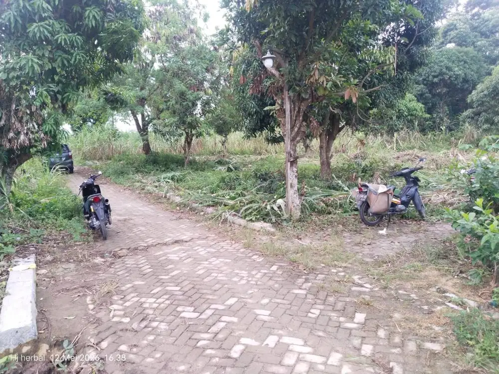 TANAH KAVLING STRATEGIS SYARIAH SABAH BALAU LAND