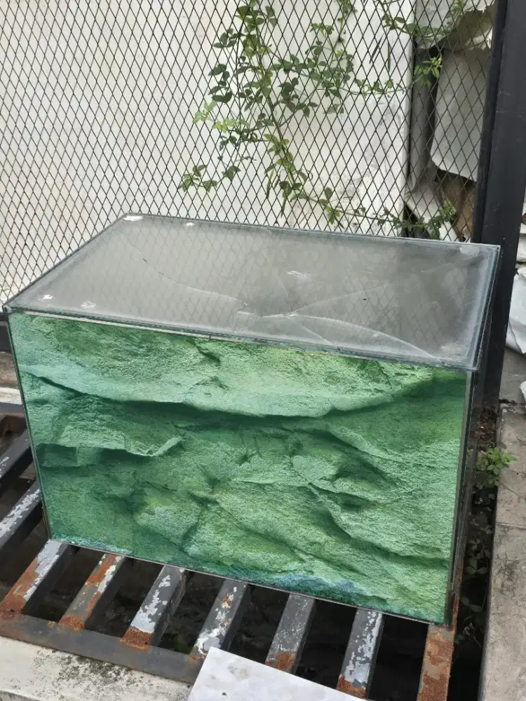 Aquarium kaca minus pecah atasnya