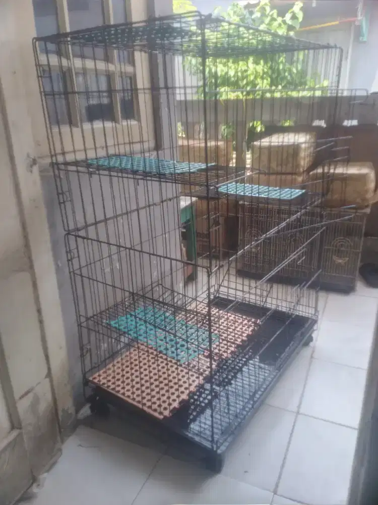 Kandang kucing tingkat besar