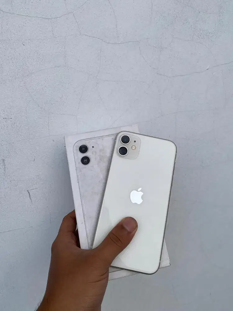 iPhone 11 64gb inter terdaftar