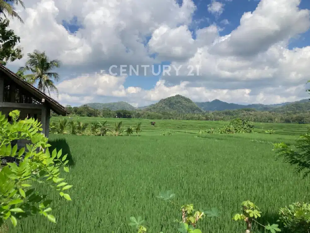 Tanah Sawah Jalan Aspal Degan Nanggulan Kulon Progo