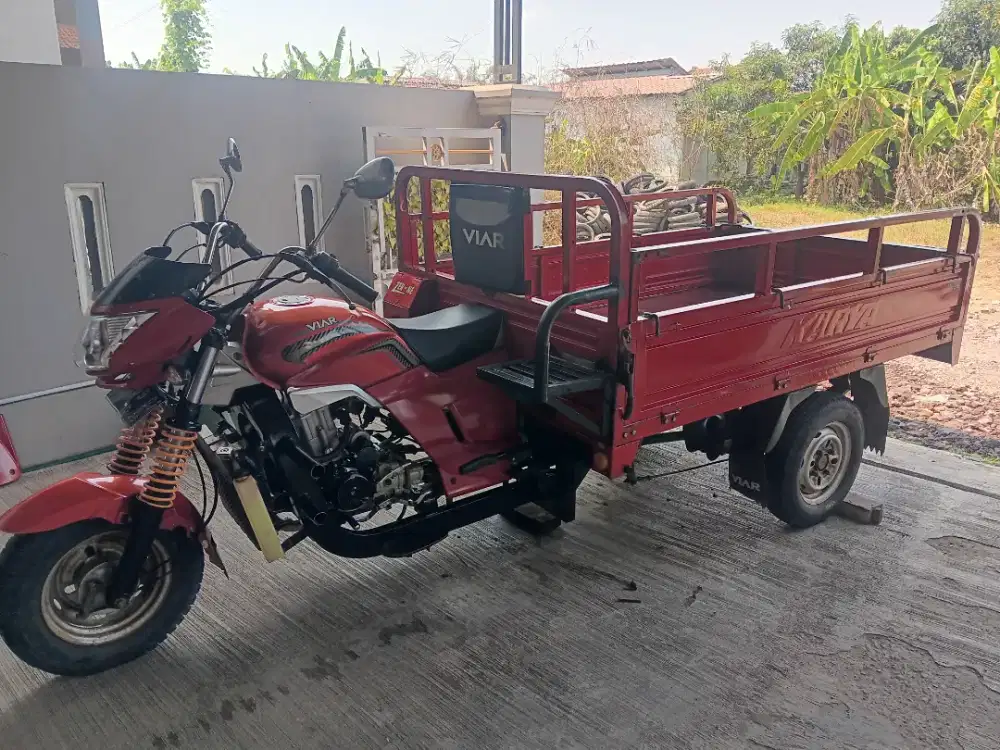 Viar 200 long 2021
