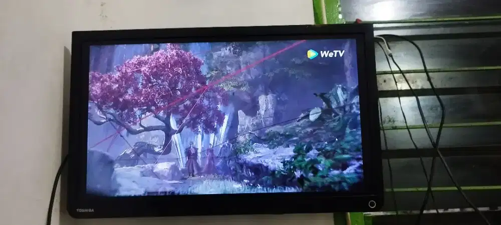 Tv 24 in Thosibha normal