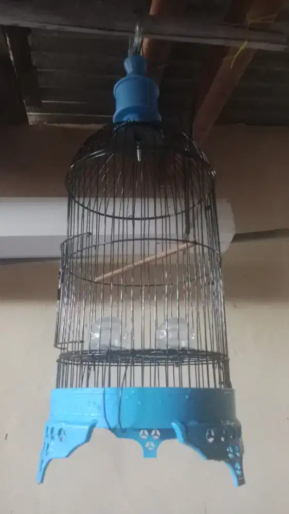 Jual sangkar burung kecil