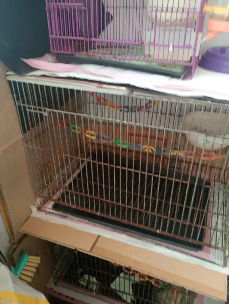 Dijual kandang kecil
