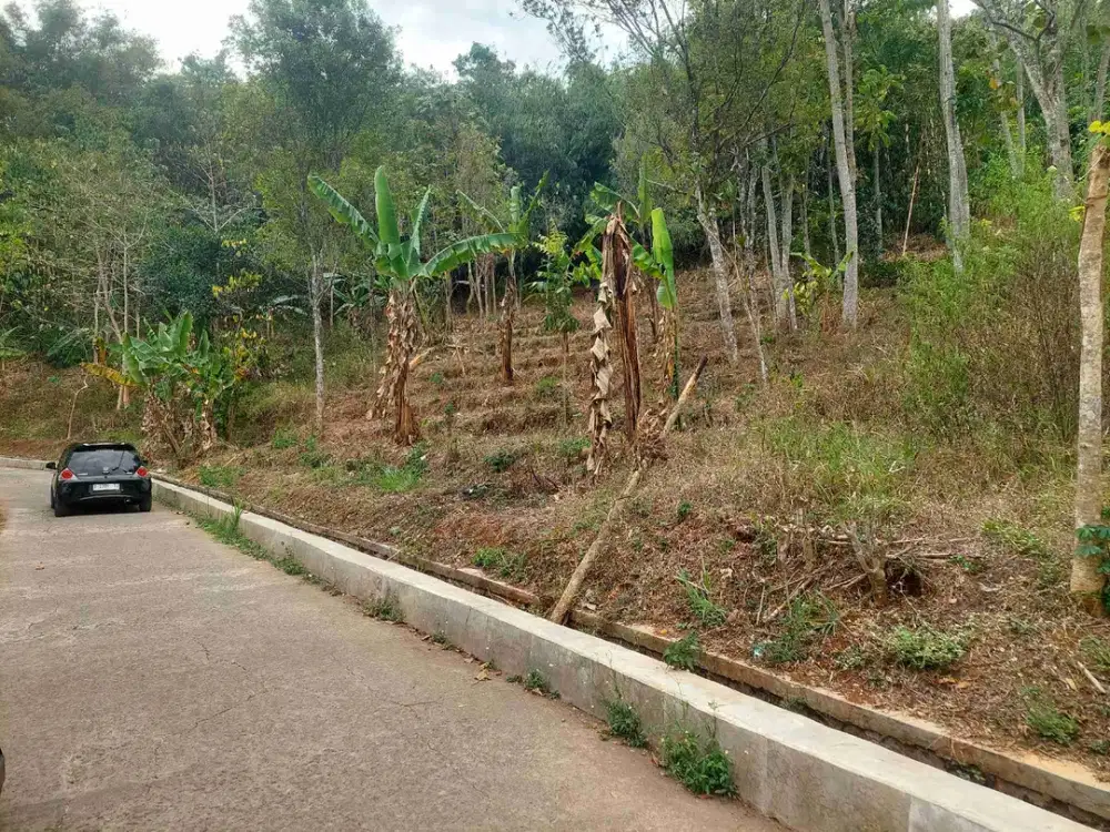 Tanah 50 tumbak, nagrog Cicalengka