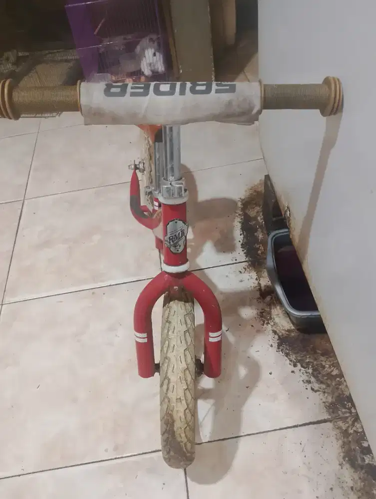 Sepeda anak laki laki