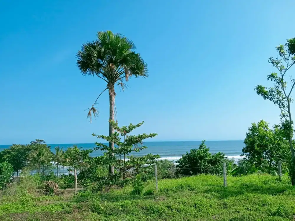 DIJUAL LAHAN PREMIUM VIEW PANTAI DAN PERBUKITAN DI MEDEWI BEACH