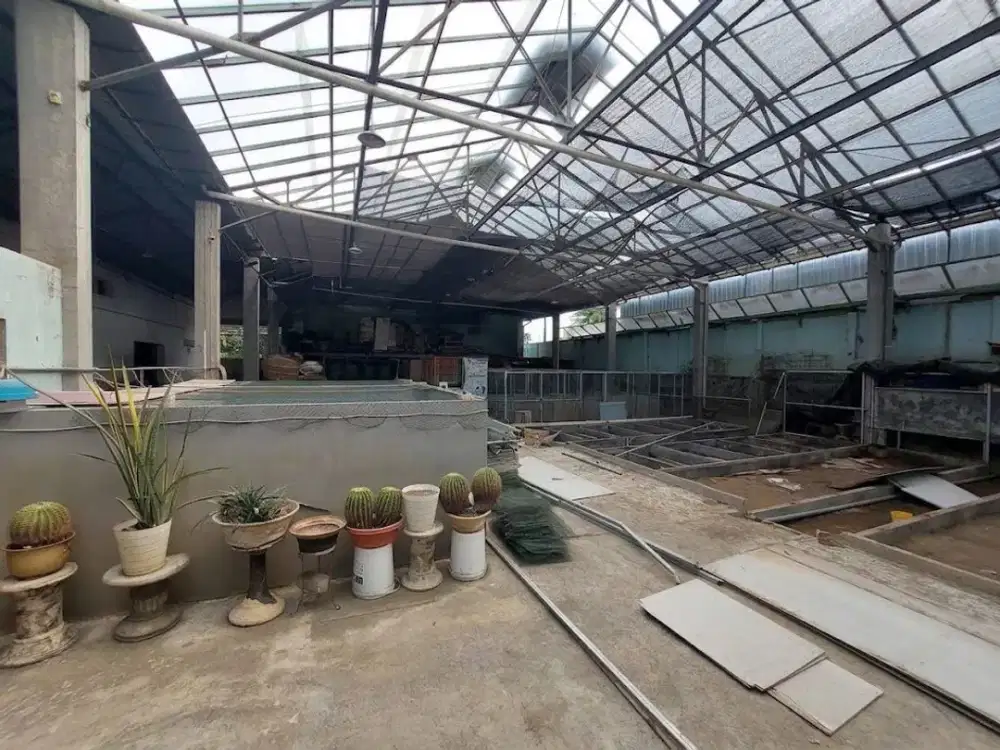 Sewa Gudang strategis cocok usaha Semarang Timur – 11886