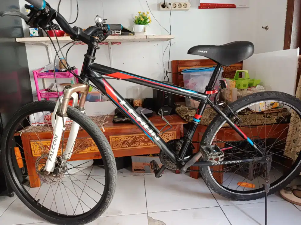 Sepeda MTB Polygon Lerun UK 26