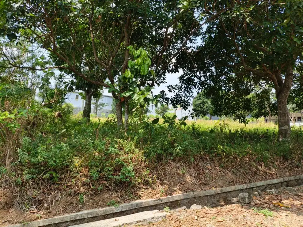 Jual Tanah siap bangun dan strategis daerah Ungaran – 11905