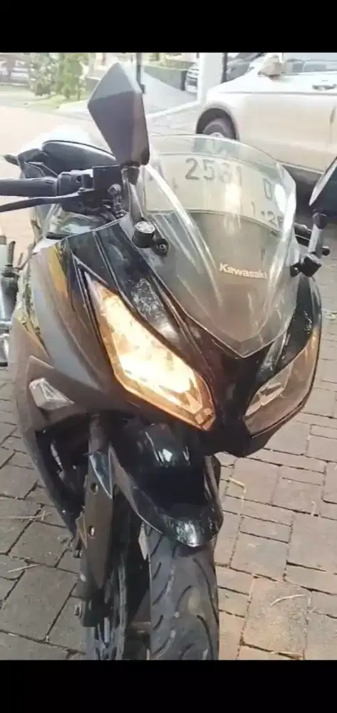Jual cepat ninja 250 karbu