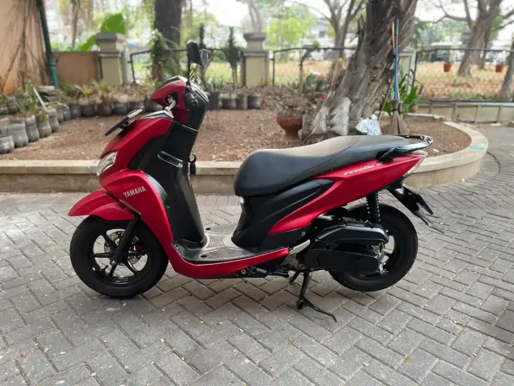 Freego S 2019 Pajak Panjang